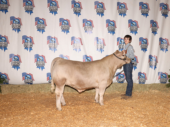 Steer Backdrop 3