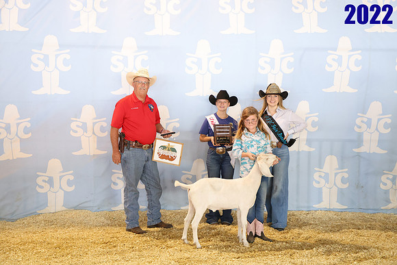 lot 107