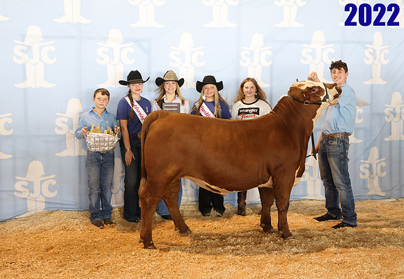lot 55