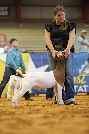 East Texas State Fair - Goat Show-058