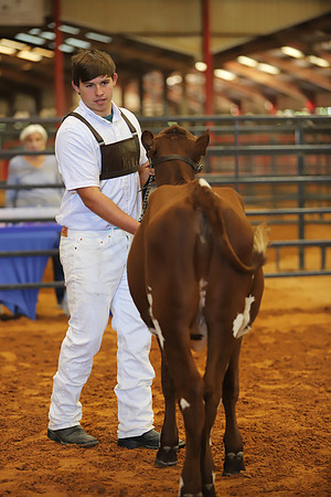 East Texas State Fair - Dairy Show-270