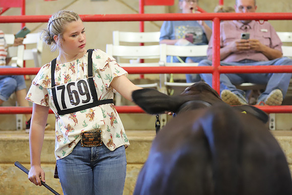 EastTexasStateFair-JBBAHeiferShowmanship-42
