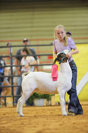 East Texas State Fair - Goat Show-010
