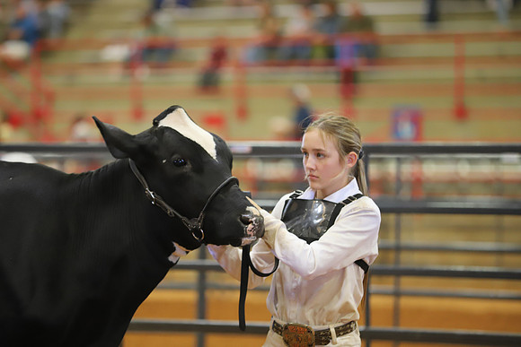 East Texas State Fair - Dairy Show-024