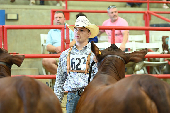 DSC_1630