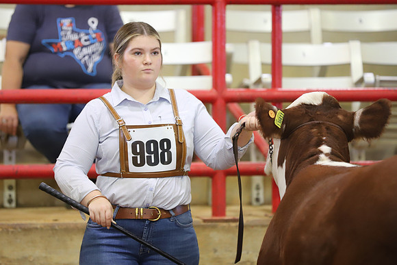 EastTexasStateFair-BritishHeiferShowmanship-36