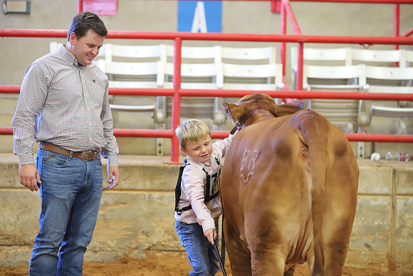 EastTexasStateFair-JBBAHeiferShowmanship-45