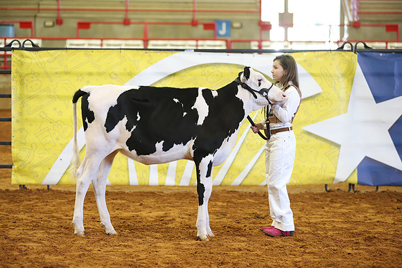 East Texas State Fair - Dairy Show-341