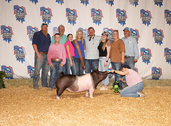 Pig Backdrop 4