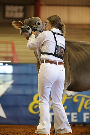 East Texas State Fair - Dairy Show-377