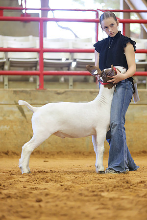 East Texas State Fair - Goat Show-018