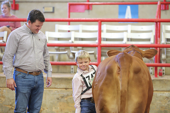 EastTexasStateFair-JBBAHeiferShowmanship-44