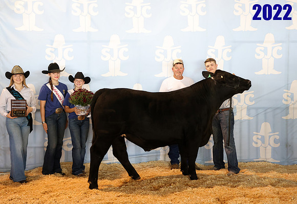 Lot 25