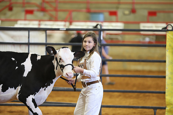 East Texas State Fair - Dairy Show-344