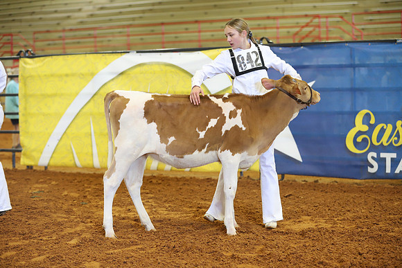 East Texas State Fair - Dairy Show-400