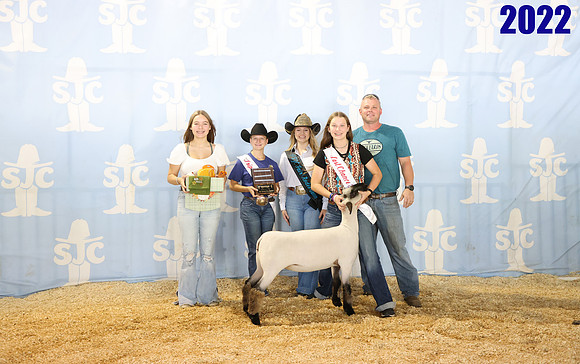 lot 113