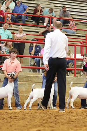 East Texas State Fair - Goat Showmanship-002
