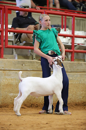 East Texas State Fair - Goat Show-043