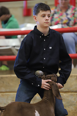 East Texas State Fair - Goat Show-099