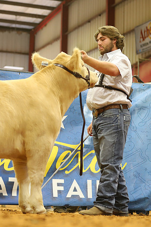 East Texas State Fair - Steer Show-066