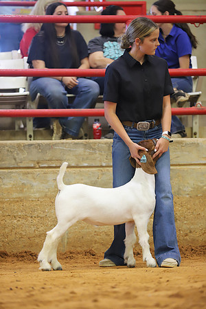East Texas State Fair - Goat Show-094