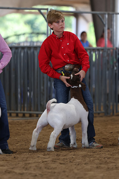 GGR_9929