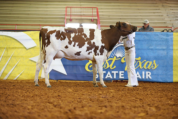 East Texas State Fair - Dairy Show-393