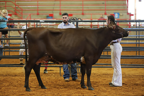 East Texas State Fair - Dairy Show-038