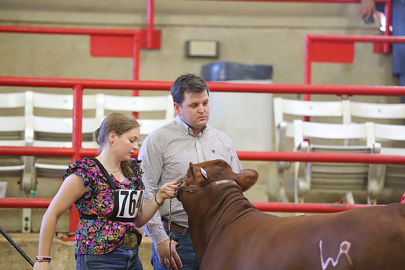 EastTexasStateFair-JBBAHeiferShowmanship-11