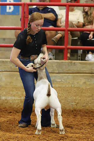 East Texas State Fair - Goat Showmanship-147