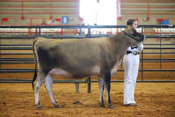 East Texas State Fair - Dairy Show-041