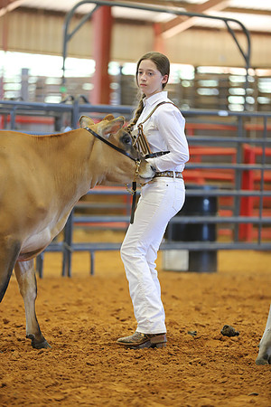 East Texas State Fair - Dairy Show-090