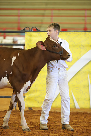 East Texas State Fair - Dairy Show-266