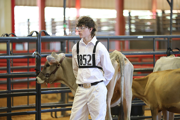 East Texas State Fair - Dairy Show-070