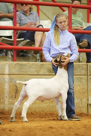 East Texas State Fair - Goat Showmanship-003