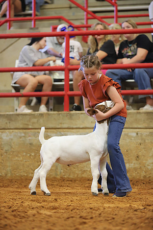 East Texas State Fair - Goat Showmanship-068