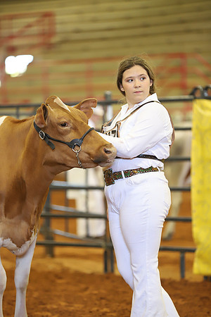 East Texas State Fair - Dairy Show-407