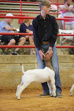 East Texas State Fair - Goat Show-067