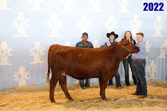lot 95