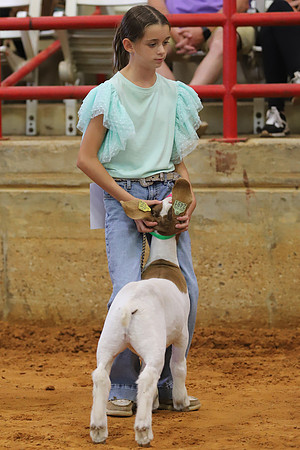 East Texas State Fair - Goat Showmanship-037