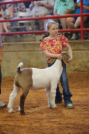 East Texas State Fair - Goat Showmanship-027