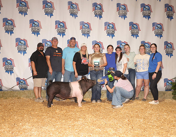 Pig Backdrop 7