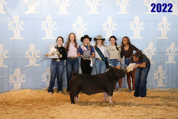 lot 68