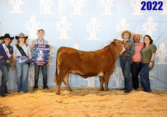Lot 2