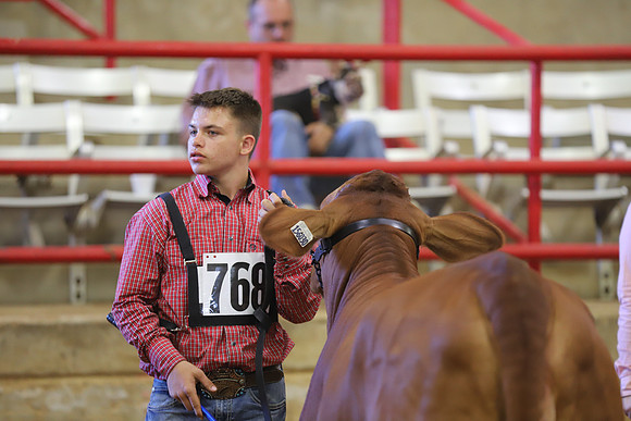 EastTexasStateFair-JBBAHeiferShowmanship-16