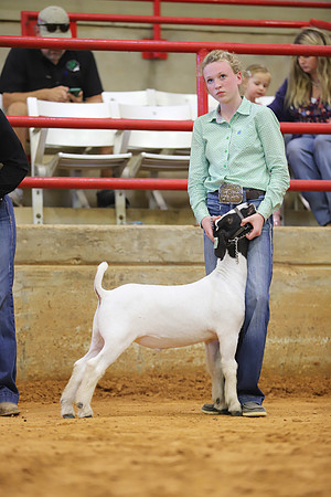 East Texas State Fair - Goat Show-096