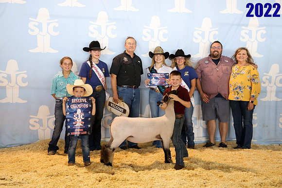 lot 15