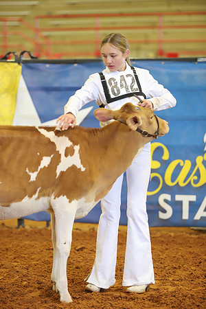 East Texas State Fair - Dairy Show-402