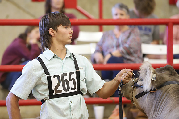 East Texas State Fair - Steer Show-061