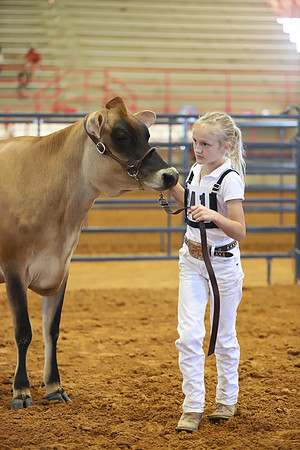East Texas State Fair - Dairy Show-121